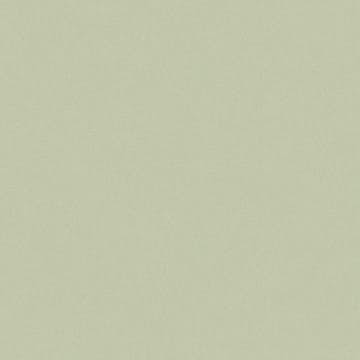 Tapet Joules Enfärgad 120885