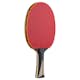 Pingisracket Stiga Sports Carbon Advance