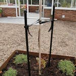 Trädstöd Flexigarden 1-stolpe