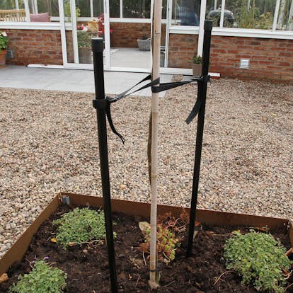 Trädstöd Flexigarden 1-stolpe