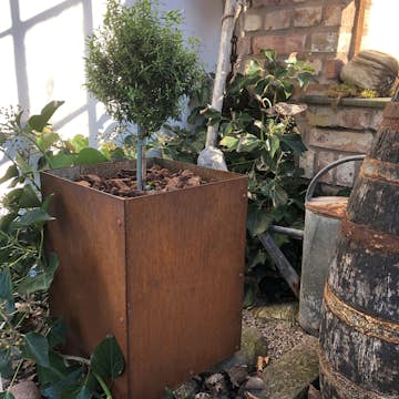 Ytterkruka Flexigarden Corten