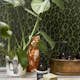 Tapet ESTAhome Leopardskinn EW139153