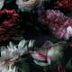 Tapet ESTAhome Blommor Rosa Svart/Mörkgrön