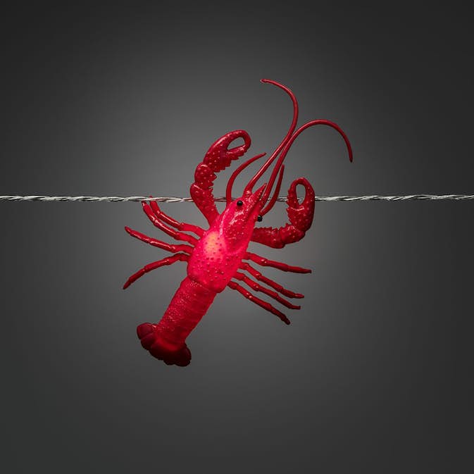 Ljusslinga Gnosjö Konstsmide Kräftor LED Batteridriven