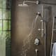 Duschblandare Hansgrohe ShowerSelect S 2-utlopp Knopp