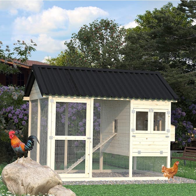 Hönshus Palmako Chick