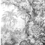 Fototapet ESTAhome Djungel Svart/Vit