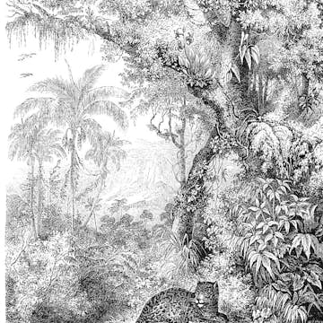 Fototapet ESTAhome Djungel Svart/Vit