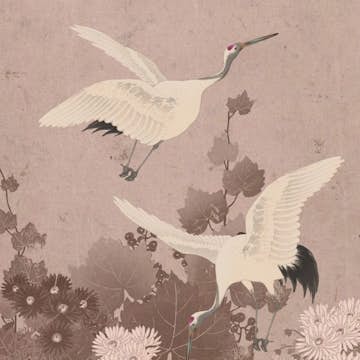 Fototapet ESTAhome Kranfåglar EW158946