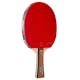 Bordtennisracket Stiga Sports Allround Classic Master Star Future Control Level 1