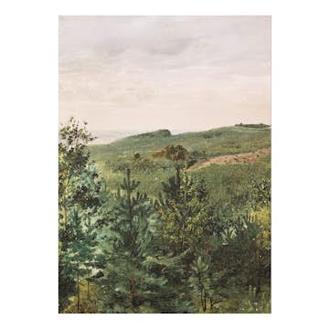 Poster Gallerix Spruce Saplings in Sandy Soil Study By Werner Holmberg