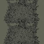 Tapet Boråstapeter Viola Gråsten Hassel 1952