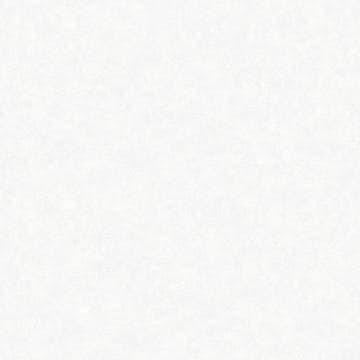 Tapet Fiona Fiona Home NW Concrete Gloss 200301