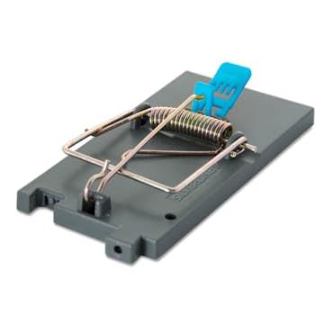 Musfälla Silverline Brave M4 Plast 4-Pack