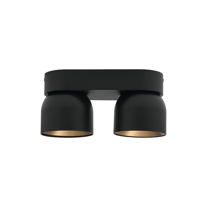 Spotlight Nordlux Pitcher 2-Spot