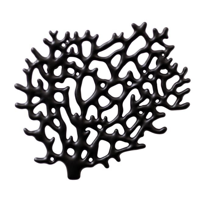 Smyckeshållare Bosign Coral