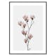 Poster Gallerix Magnolia Flower