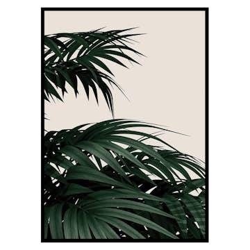 Poster Gallerix Palm Leaves Natural