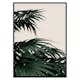 Poster Gallerix Palm Leaves Natural