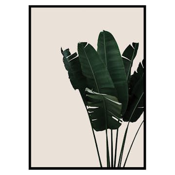 Poster Gallerix Banana Leaves Natural