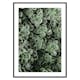 Poster Gallerix Close Up Green