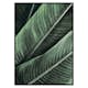 Poster Gallerix Banana Leaves No1