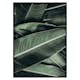 Poster Gallerix Banana Leaves No2