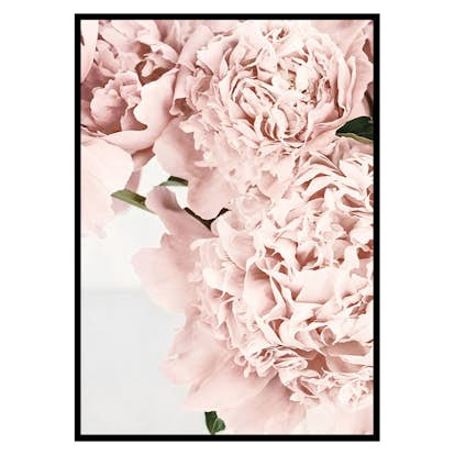 Poster Gallerix Loving Roses No2