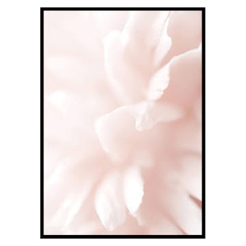 Poster Gallerix Tender Flowers No3