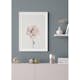Poster Gallerix Pink Rose No1