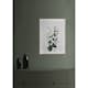 Poster Gallerix Rose Bouquet No2