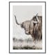 Poster Gallerix Highland Cattle