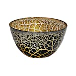 Skål Nybro Crystal Croco