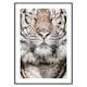 Poster Gallerix Tiger