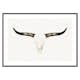 Poster Gallerix Animal Skull