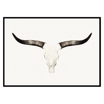 Poster Gallerix Animal Skull