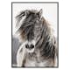 Poster Gallerix Wild Horse