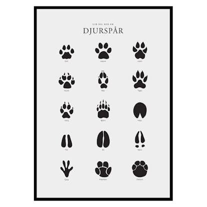 Poster Gallerix Djurspår