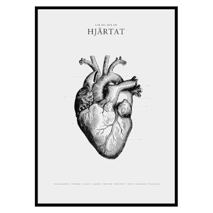 Poster Gallerix Hjärtat