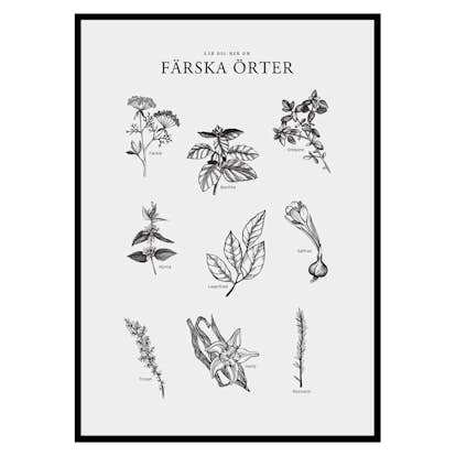 Poster Gallerix Färska Örter