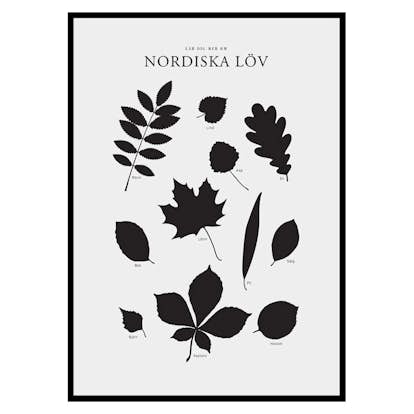 Poster Gallerix Nordiska Löv