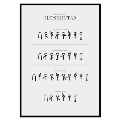 Poster Gallerix Slipsknutar