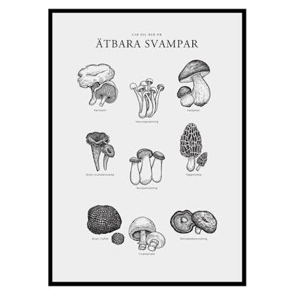 Poster Gallerix Ätbara Svampar