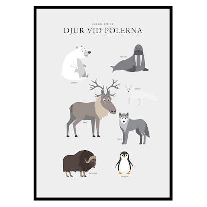 Poster Gallerix Djur Vid Polerna