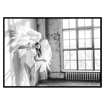 Poster Gallerix White Wings No2