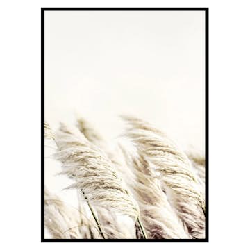 Poster Gallerix Reed In Wind