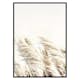 Poster Gallerix Reed In Wind
