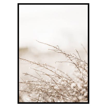 Poster Gallerix Branches