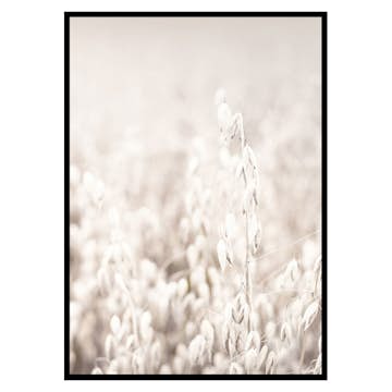 Poster Gallerix Oats