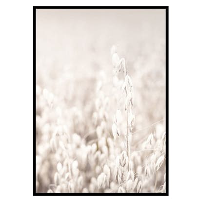 Poster Gallerix Oats